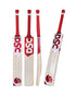 DSC FLIP Pro Players Grade English Willow Cricket Bat - SH